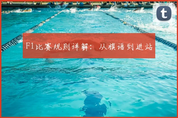 F1比赛规则详解：从旗语到进站